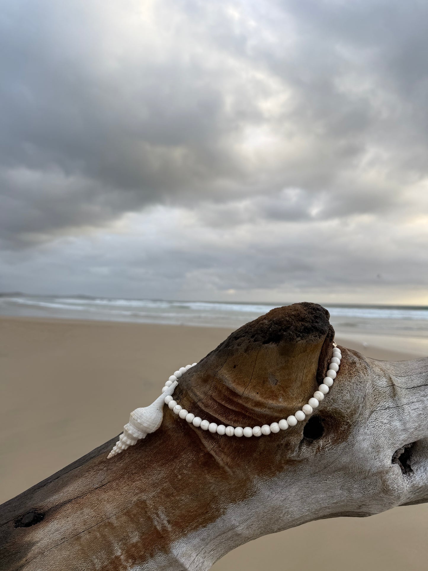 Sea Shell Necklace