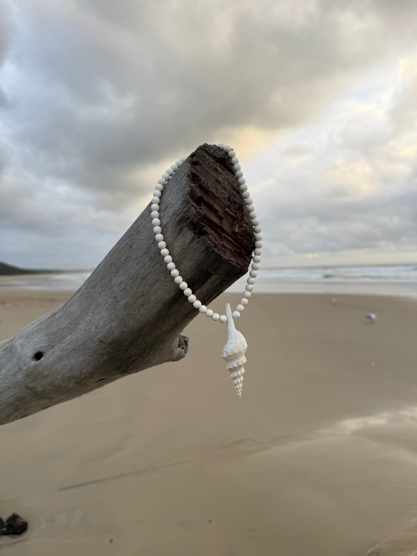 Sea Shell Necklace